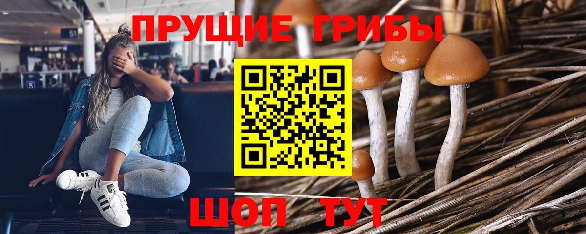 Псилоцибиновые грибы мухоморы  Вход с VPN  Дивногорск 